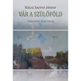 V&aacute;r a sz&uuml;lőf&ouml;ld - K&aacute;liz Sajtos J&oacute;zsef