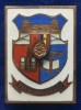 Insigna stema T&acirc;rgu Mures