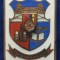 Insigna stema T&acirc;rgu Mures