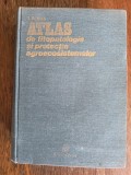 Atlas de fitopatologie si protectia agroecosistemelor - I. Bobes / R2P2F, Alta editura