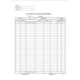 Tipizat - raport gestiune periodic - A4, portret, simplu, carnet 100 file