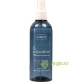 Toner Spray pentru Fata cu Acid Hialuronic Acai Berry 200ml