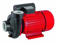 Pompa apa curata de suprafata, 1500W, 30000L/h, RD-2DK20, Raider Garden Tools, 070105 foto