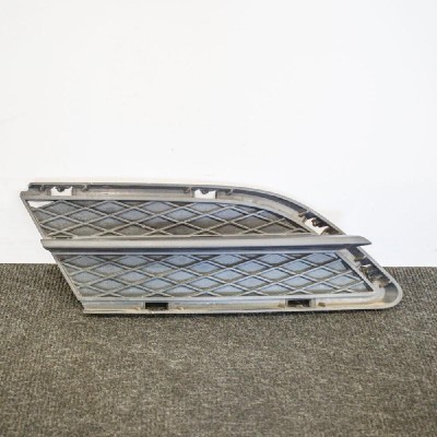 Grila dreapta față BMW 3 E90 2009 OEM: 7138418 | 10000600 foto