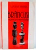 BRANCUSI, REPERE SI INTERFERENTE de LUCIAN GRUIA , 2001 , PREZINTA INSEMNARI CU MARKERUL