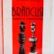 BRANCUSI, REPERE SI INTERFERENTE de LUCIAN GRUIA , 2001 , PREZINTA INSEMNARI CU MARKERUL