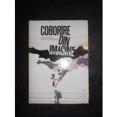 MAGDALENA CONSTANTINESCU - COBORARE DIN IMAGINE