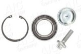 Set rulment roata MERCEDES-BENZ CLS Shooting Brake (X218) (2012 - 2017) AIC 73334