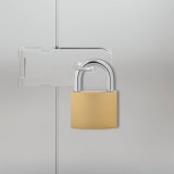 vidaXL U Lock cu Chei 50 pcs Alamă Fier 42021941
