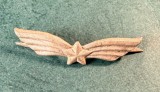 Semn de arma aviatie militara Romania