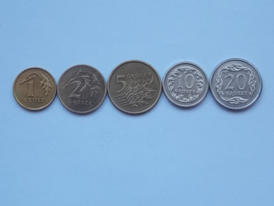 lot 5 monede diferite Polonia-groszy foto