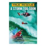 True Rescue : A Storm Too Soon