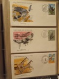 FAUNA WWF - 3 PLICURI PRIMA ZI