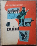 Puiul - Al. I. Bratescu-Voinesti// ilustratii Noel Roni