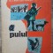 Puiul - Al. I. Bratescu-Voinesti// ilustratii Noel Roni