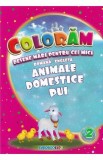 Coloram desene mari pentru cei mici: Animale domestice pui