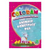 Coloram desene mari pentru cei mici: Animale domestice pui