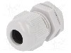 Presetupa poliamida, M16, IP68, RITTAL - 2411.611