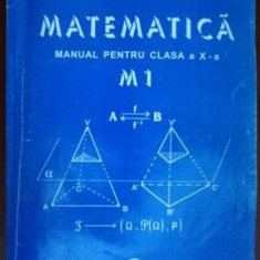 Matematica manual pentru clasa a X-a M1