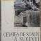 Cetatea de scaun a Sucevei - M. D. Matei, Al. Andronic