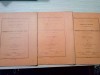 Insemnatatea Europeana a Dorintelor Rostite de Divanurile Ad-Hoc - D.A. Sturdza, 3 vol, 1912, Librariile SOCEC
