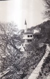 Balcic (necirculata) foto