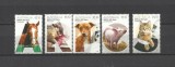 AUSTRALIA 2021 FAUNA ANIMALE DOMESTICE CAINI PISICI CAI PORCI