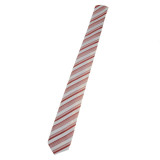 Cravata pentru baieti Mini Junior CPB-18-universal, Multicolor