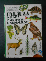 CONSTANTIN PARVU - CALAUZA IN LUMEA PLANTELOR SI ANIMALELOR foto