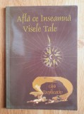 AFLA CE INSEAMNA VISELE TALE