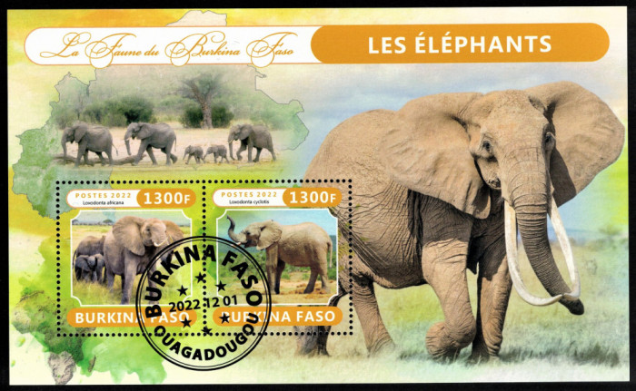 BURKINA FASO 2022 - Fauna africana, Elefanti /colita