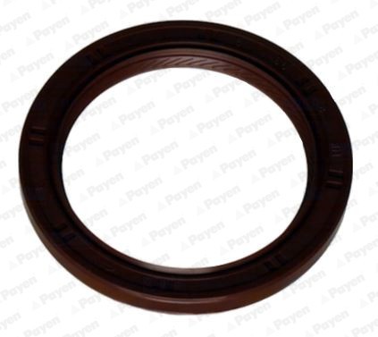 PAYEN NA5319 Simering, arbore cotit