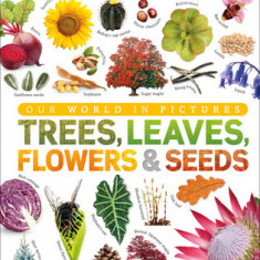 Trees, Leaves, Flowers, and Seeds