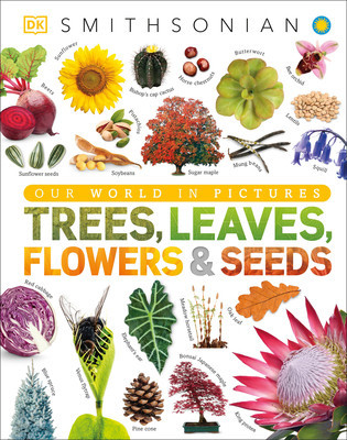 Trees, Leaves, Flowers, and Seeds foto