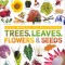 Trees, Leaves, Flowers, and Seeds