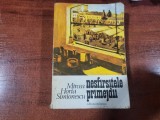 Nesfarsitele primejdii de Mircea Horia Simionescu