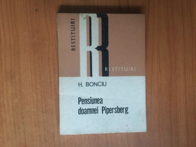 n3 Pensiunea Doamnei Pipersberg - H. Bonciu foto