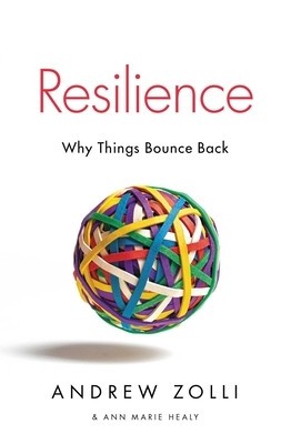 Resilience: Why Things Bounce Back foto