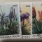 (A) Timbre straine serii tematica Flora Azerbaijan
