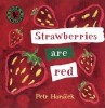 Carte concept Strawberries Are Red - culori si fructe pentru bebelusi si copii mici, carte in engleza