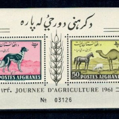 Afganistan 1961 - Agricultura, animale, bloc dt neuzat