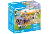 Cumpara ieftin Playmobil-CARUTA CU PONEI