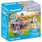 Playmobil-CARUTA CU PONEI