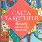 AS - ALEJANDRO JODOROWSKY - CALEA TAROTULUI