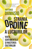 Strania ordine a lucrurilor - Paperback brosat - Antonio Damasio - Humanitas