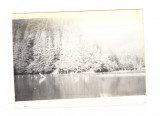 Poza Lacul Rosu, fara datare, Alb-Negru, Romania de la 1950, Natura