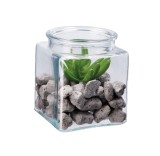 Cumpara ieftin Aranjament plante suculente si piatra III 10 x 10 x 13 cm