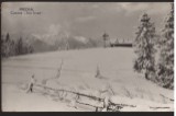 CPIB 22583 - CARTE POSTAL - PREDEAL, CABANA &quot;TREI BRAZI&quot;