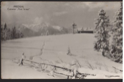 CPIB 22583 - CARTE POSTAL - PREDEAL, CABANA &amp;quot;TREI BRAZI&amp;quot; foto