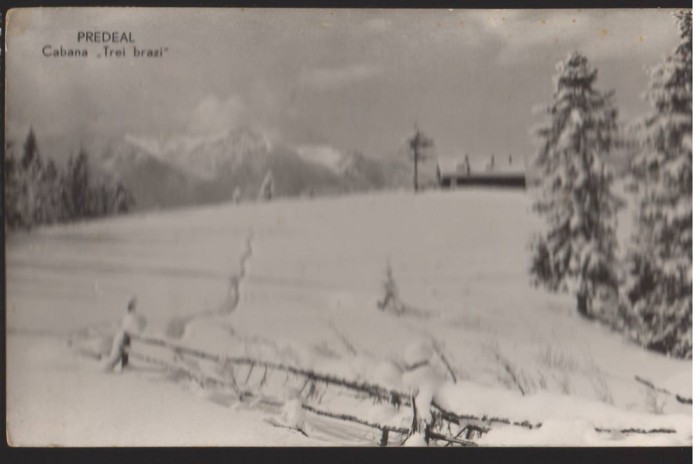 CPIB 22583 - CARTE POSTAL - PREDEAL, CABANA &quot;TREI BRAZI&quot;